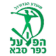 法萨巴夏普尔 logo